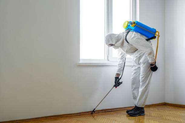 Best Best Pest Control Companies  in Waskom, TX