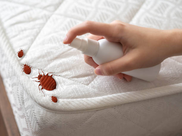 Best Cockroach Control Services  in Waskom, TX