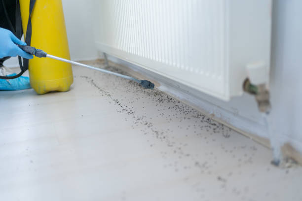 Best Pest Inspection Near Me  in Waskom, TX