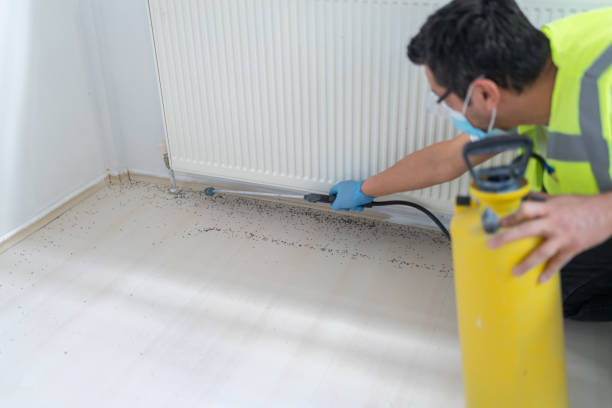 Best Affordable Pest Control Services  in Waskom, TX