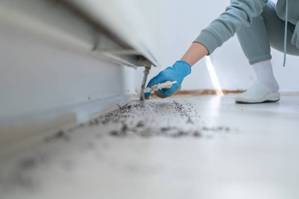 Best Residential Pest Control  in Waskom, TX